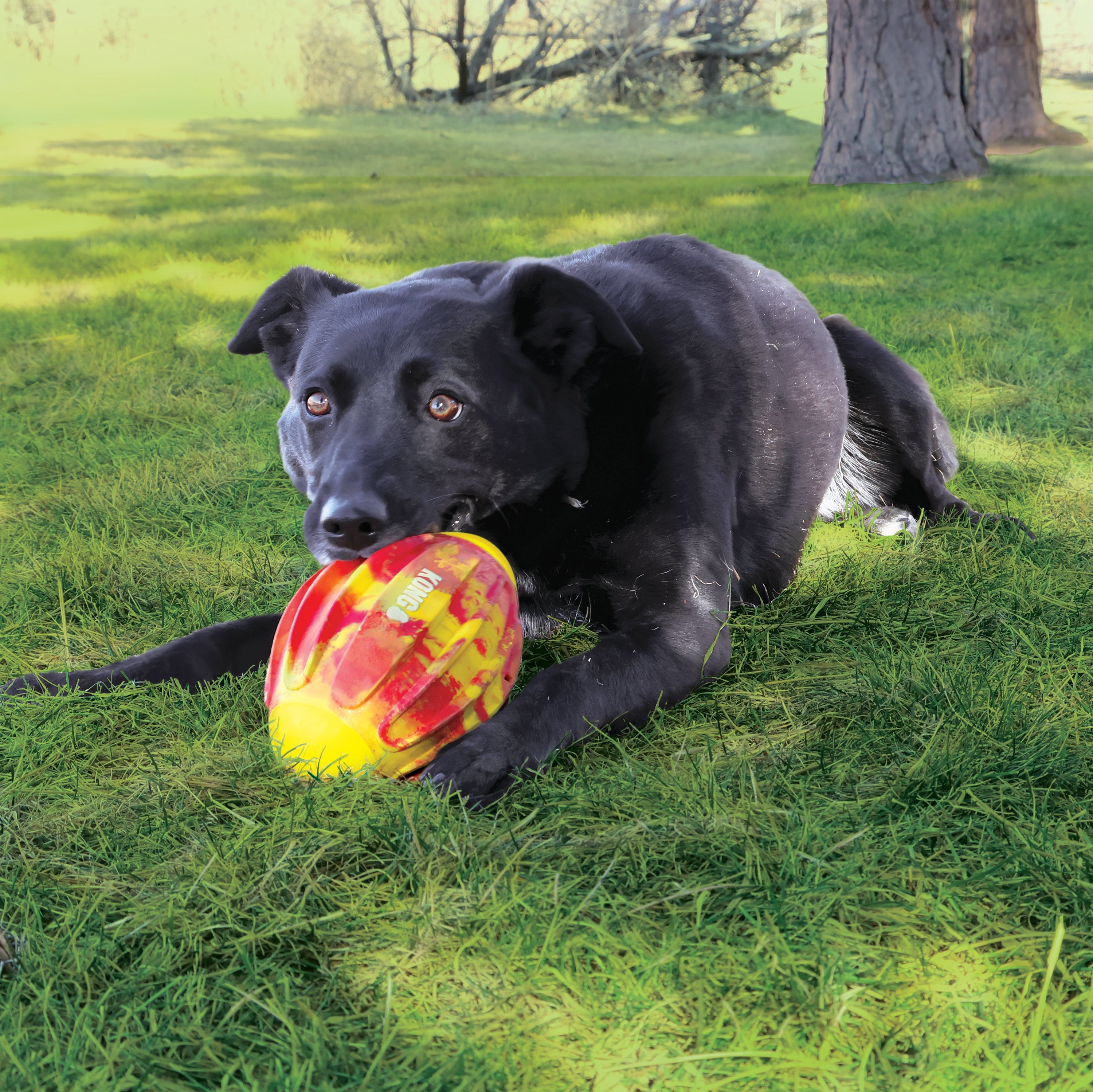 Kong Flexball Sport Football Medium