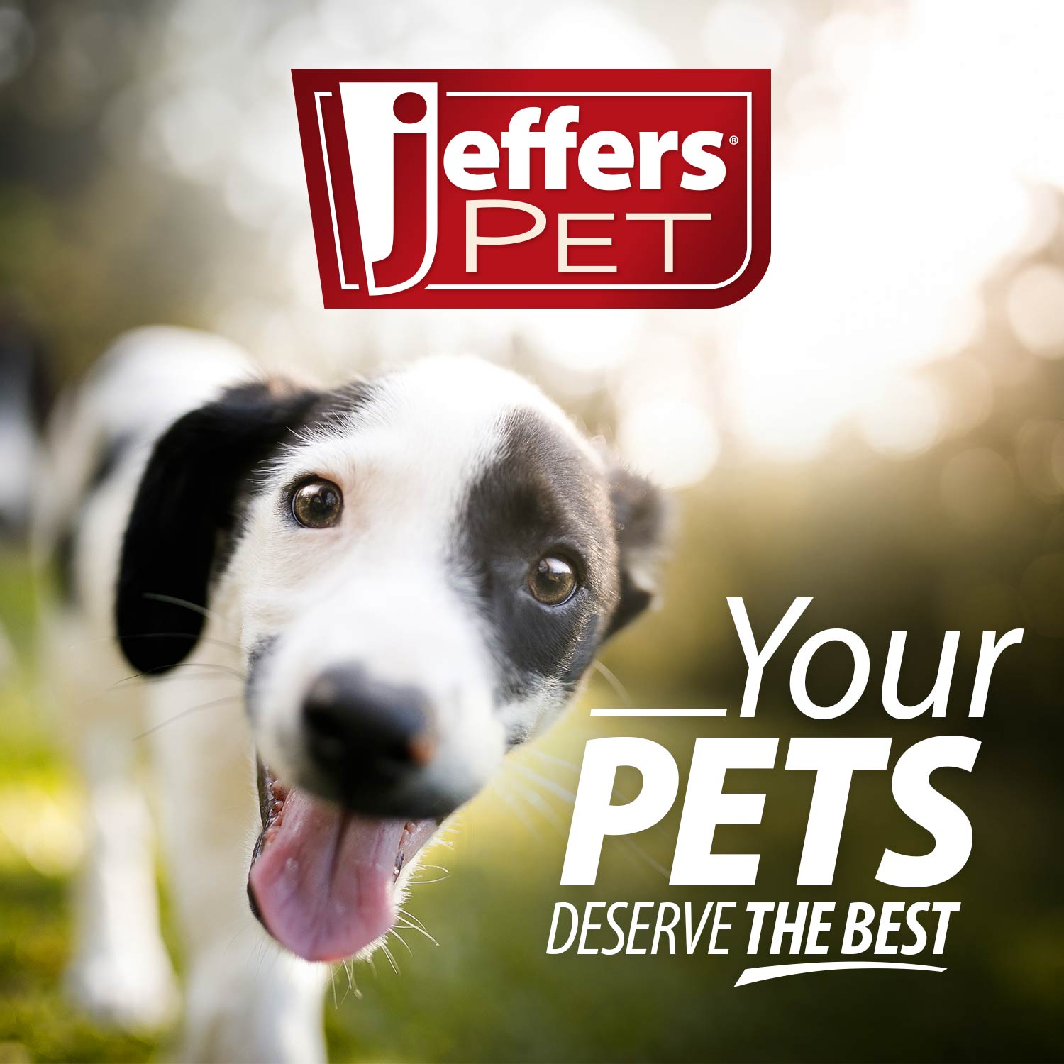 Jeffers Corn Cob Natural Rubber Treat Dispensing Dog Chew Toy with Dental Benefits