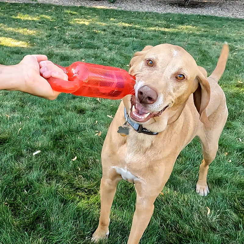 Kong Jumbler Tug Medium/Large