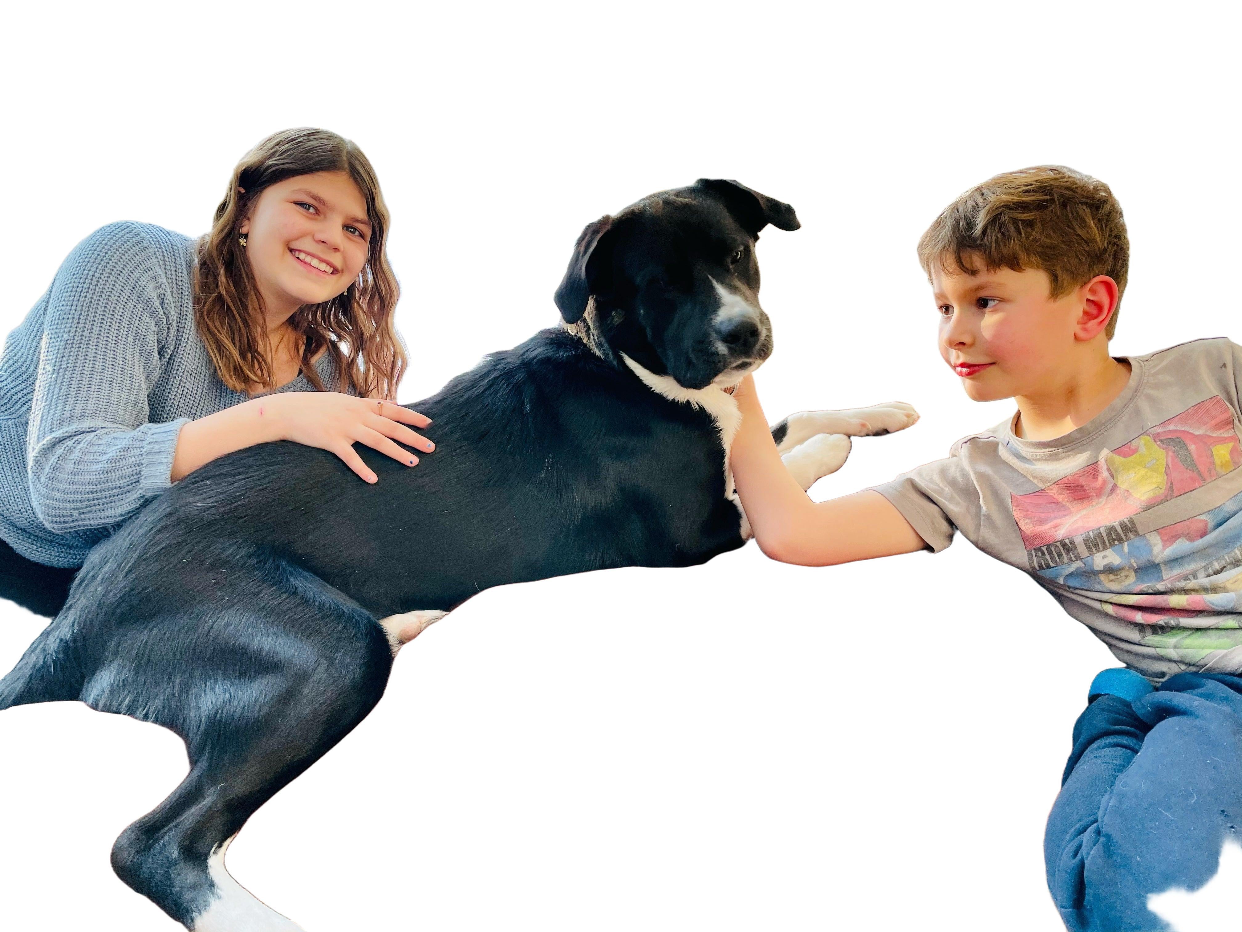 Hemp Dog Bed - Organic Natural Latex Foam Fill Orthopedic Support