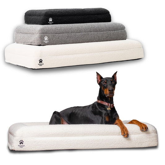 Orthopedic Memory Foam Dog Bed with Washable Boucle Cover