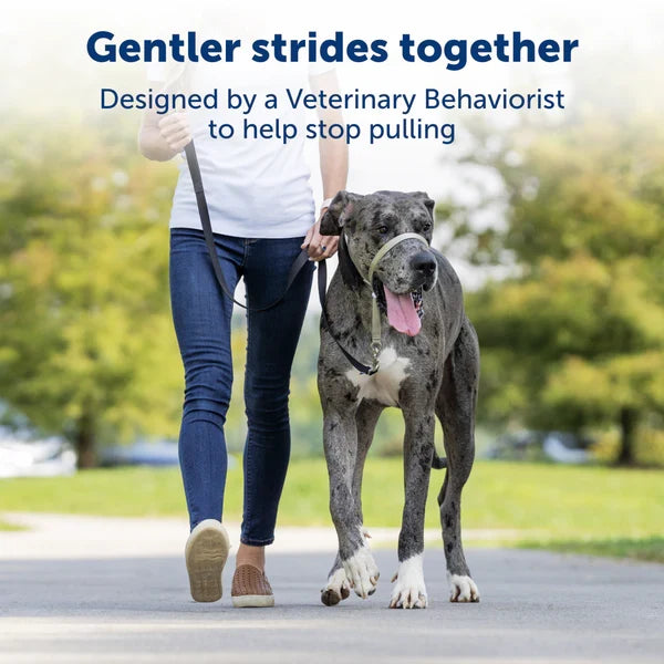 Petsafe Gentle Leader® Headcollar, No-Pull Dog Collar Black X-Large