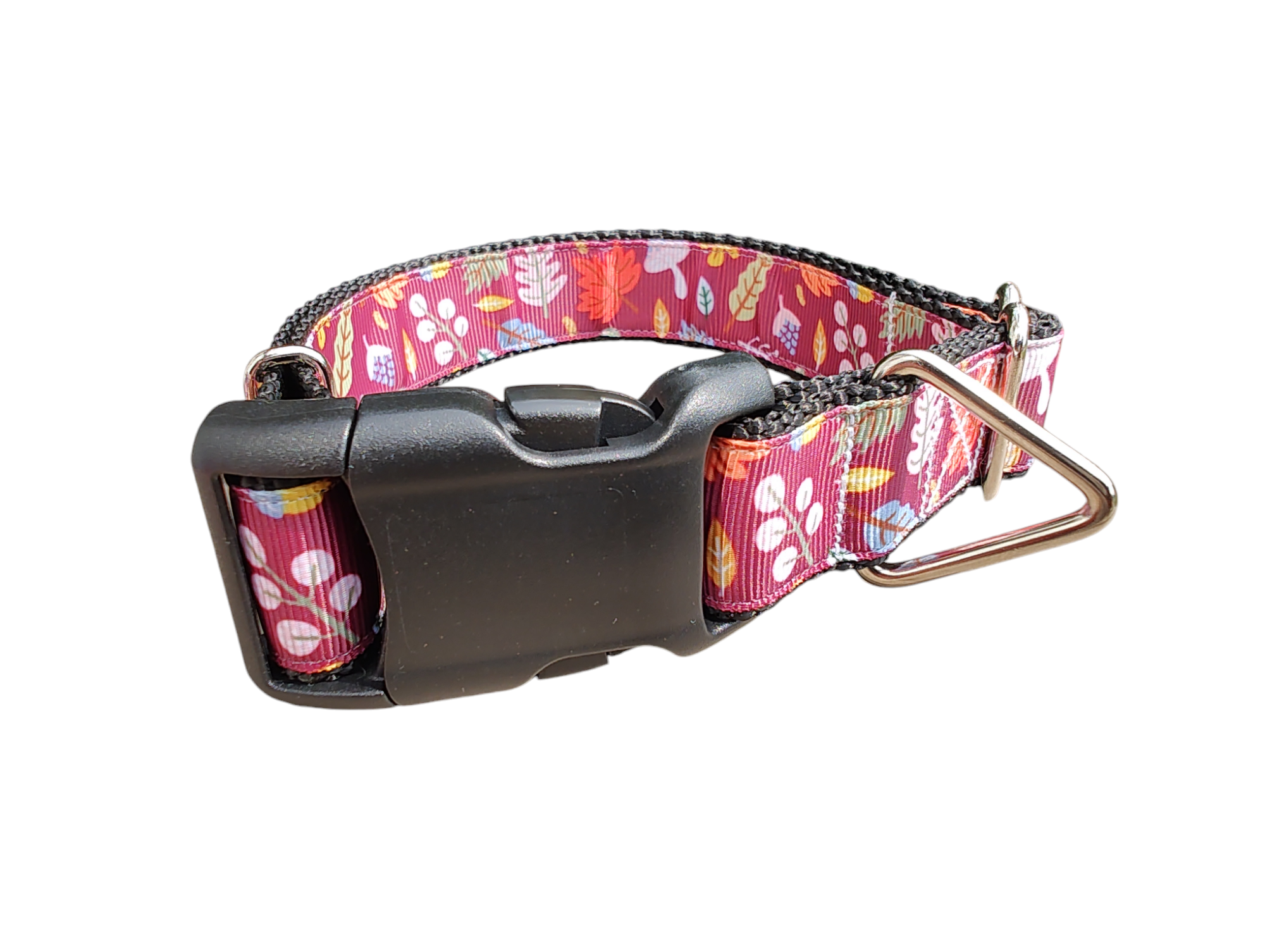 Fall Leaves Nylon Dog Collar