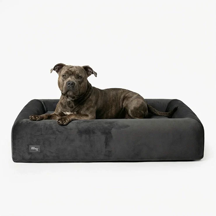 Premium Orthopedic Memory Foam Dog Bed - Charcoal (Medium) (LP)