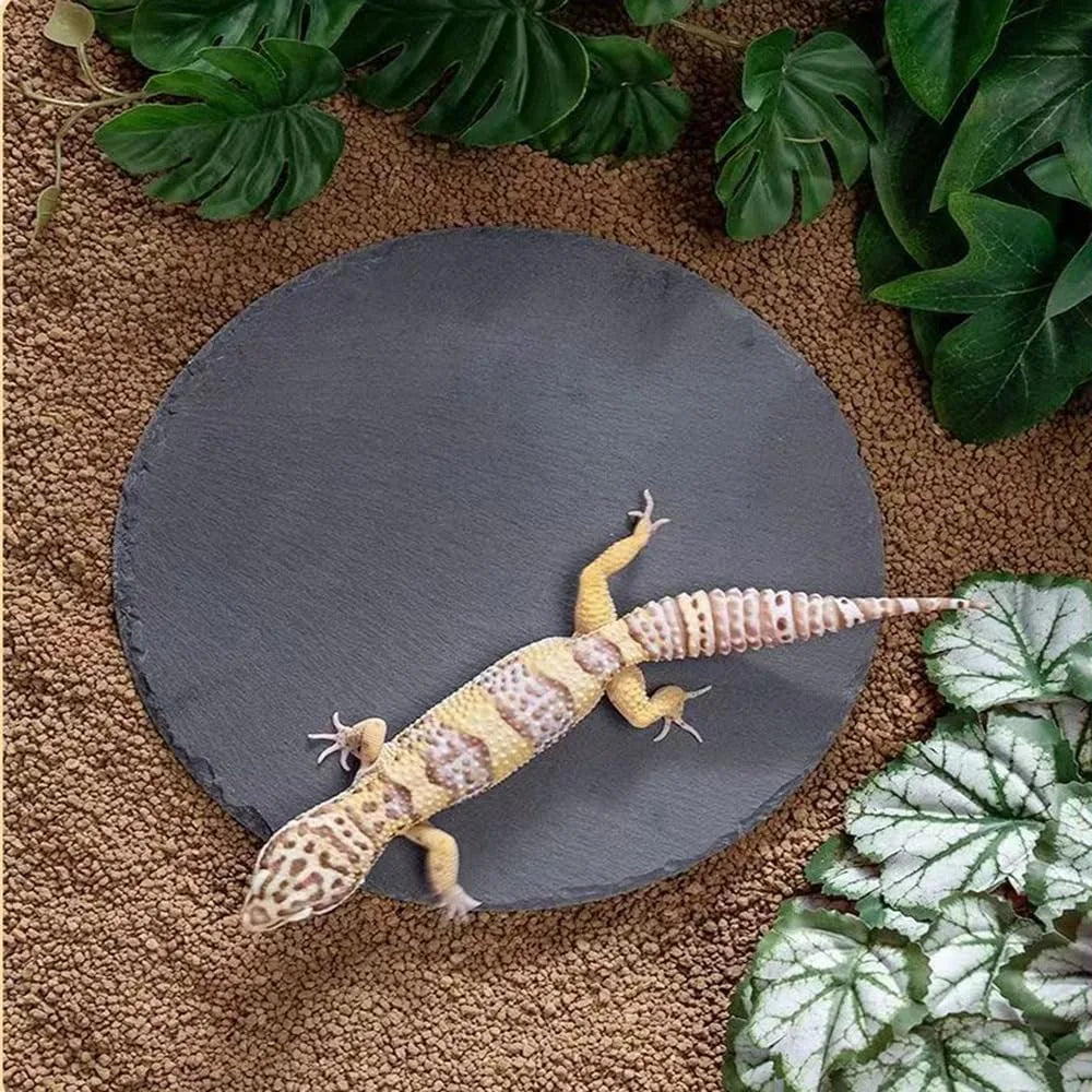 Natural Slate Reptile Basking Platform for Bearded Dragon, Lizard, Gecko Habitat Decor