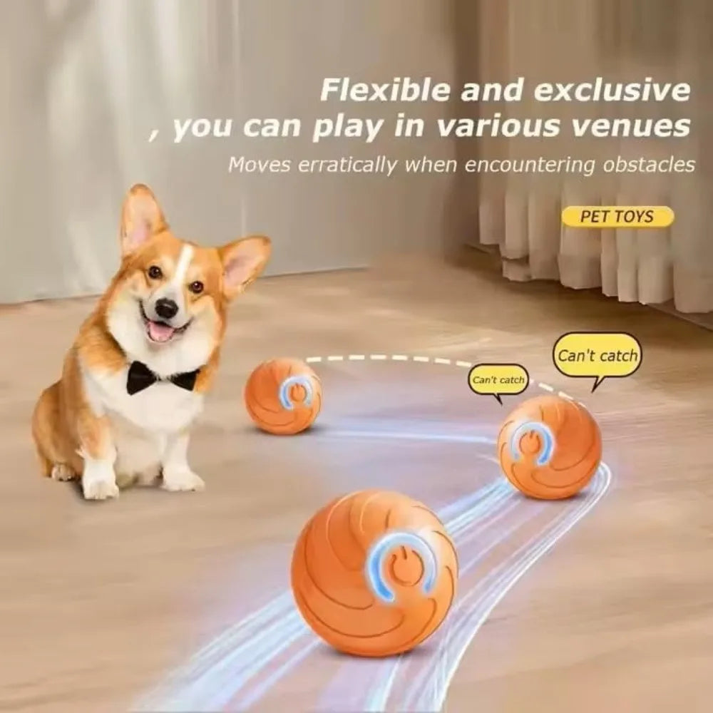 Pet Toy Ball with Tail Rope，Smart Automatic Pet Chase Ball Toy, Upgraded Speedy Tail Kitten Toy for Bored Indoor Adult Pets