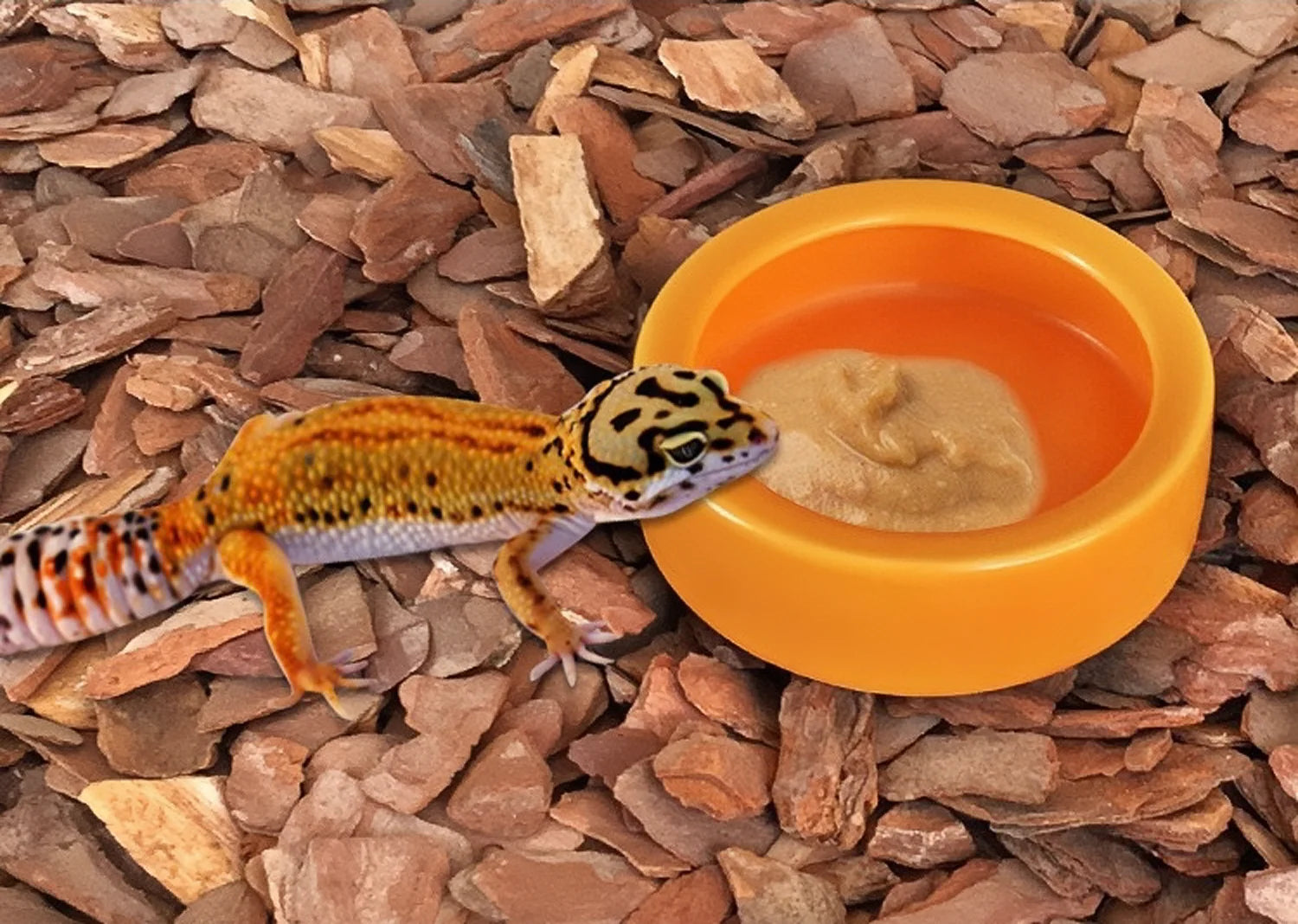 Reptile Water Food Bowl Worm Dish Ceramic Pet Bowls Anti-Escape Mini Reptile Mealworms Bowl for Lizard Bearded Dragon