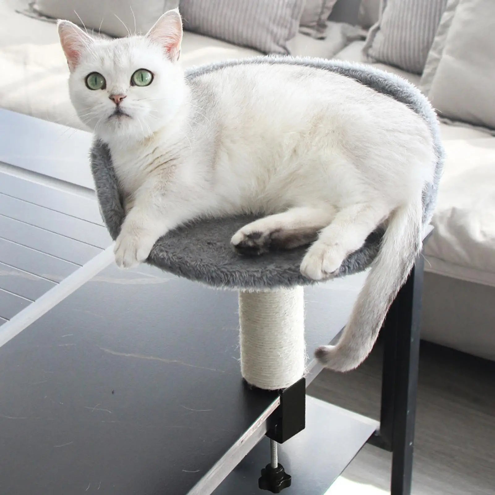 Cat Bed for Desk 360 Rotating Hammock for Cat Desk Clamp Kitten Bed for Kittens Pets Animals Indoor Home Apartment Living Room