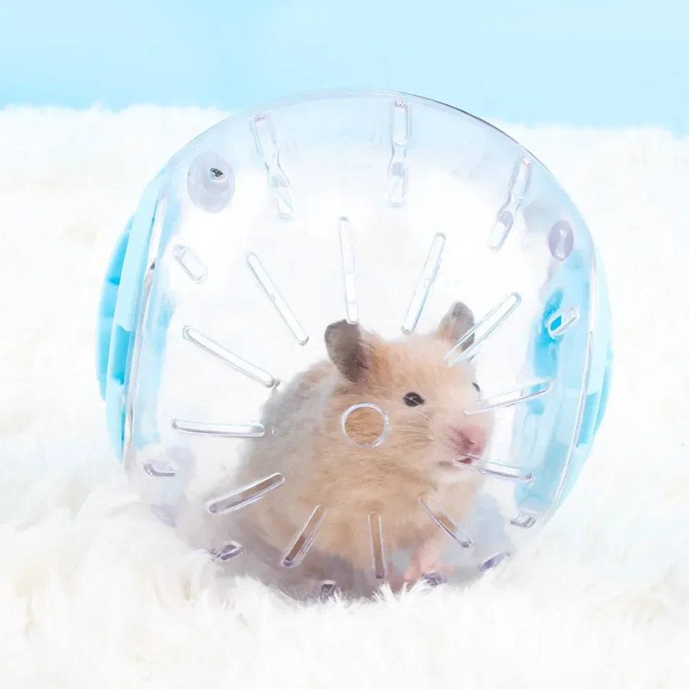Hamster Exercise Ball - Plastic Jogging Toy for Small Pets