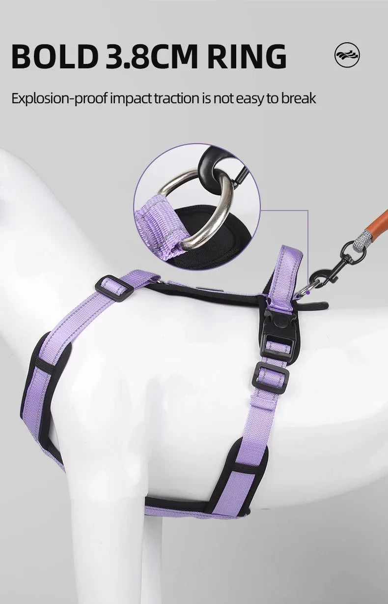 BeiYu Pet Harness With Leash Vest For Dogs