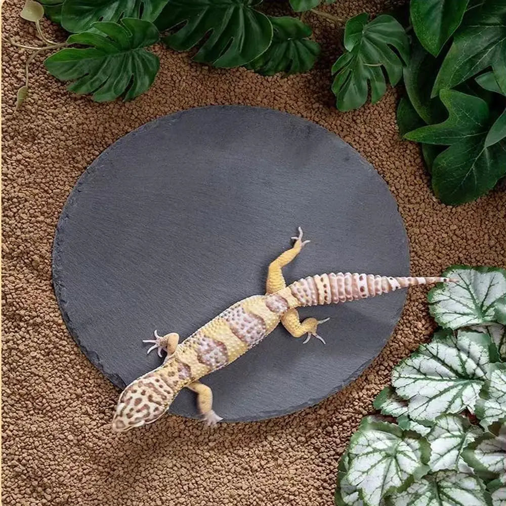 Natural Slate Reptile Basking Platform for Bearded Dragon, Lizard, Gecko Habitat Decor