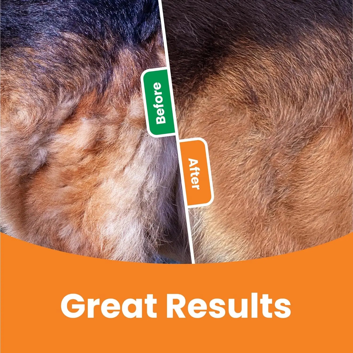 3 In 1 Pet Deshedding Brush Dog Hair Remover Pet Fur Knot Cutter