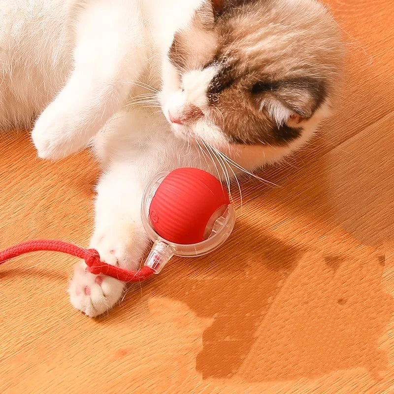 Automatic Smart Cat Toy Ball Interactive Electric Rolling Teaser USB Rechargeable Moving Bouncing Ball for Kittens Birthday Gift