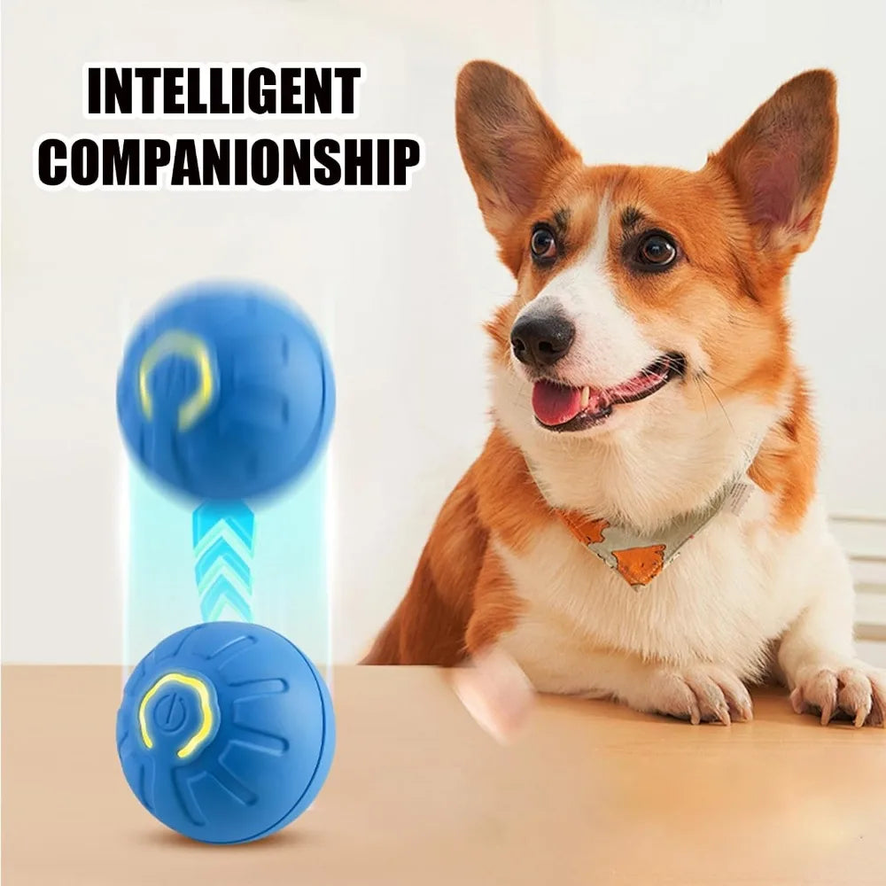 Pet Toy Ball with Tail Rope，Smart Automatic Pet Chase Ball Toy, Upgraded Speedy Tail Kitten Toy for Bored Indoor Adult Pets