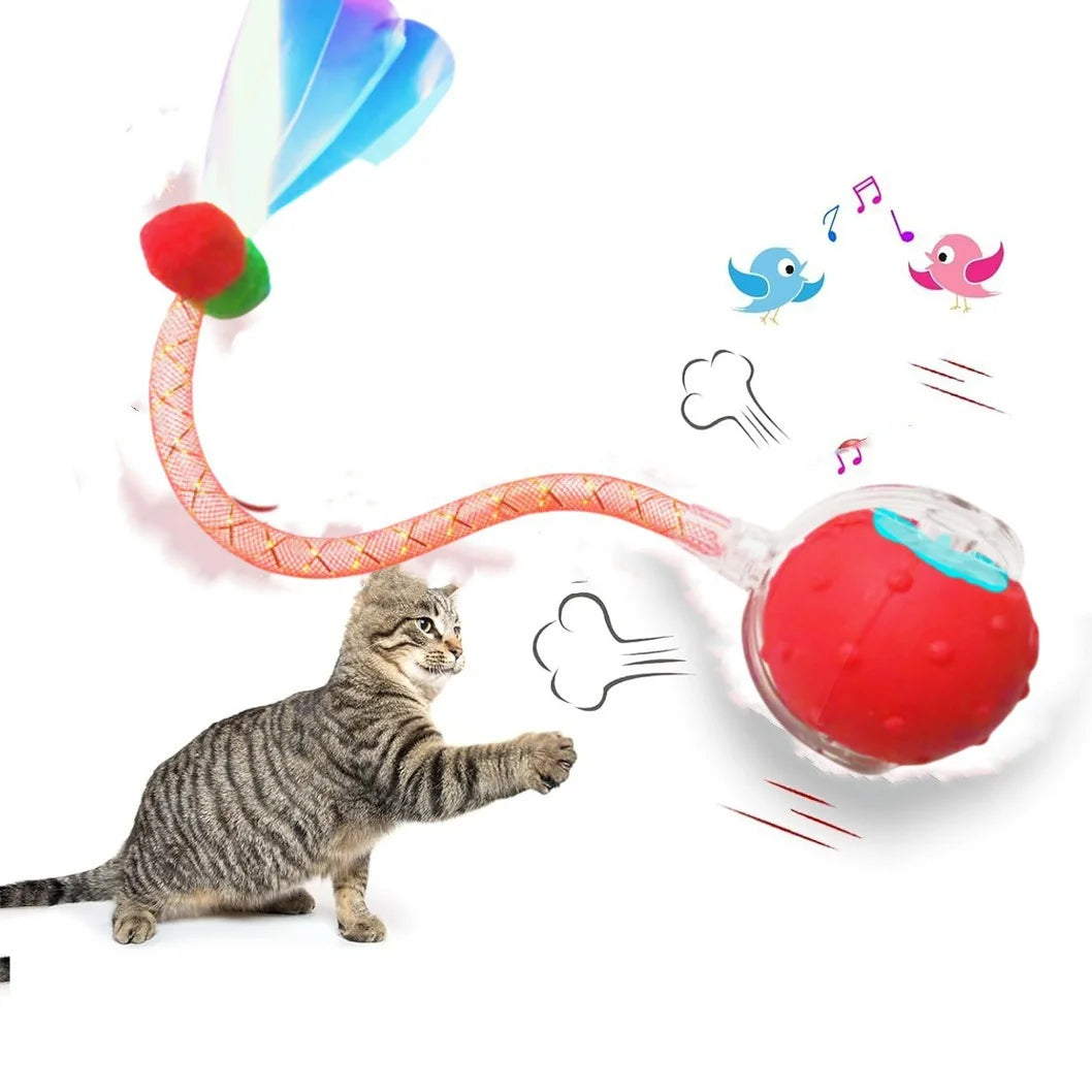 Interactive Cat Toy Ball – Super Drive Rolling Toy