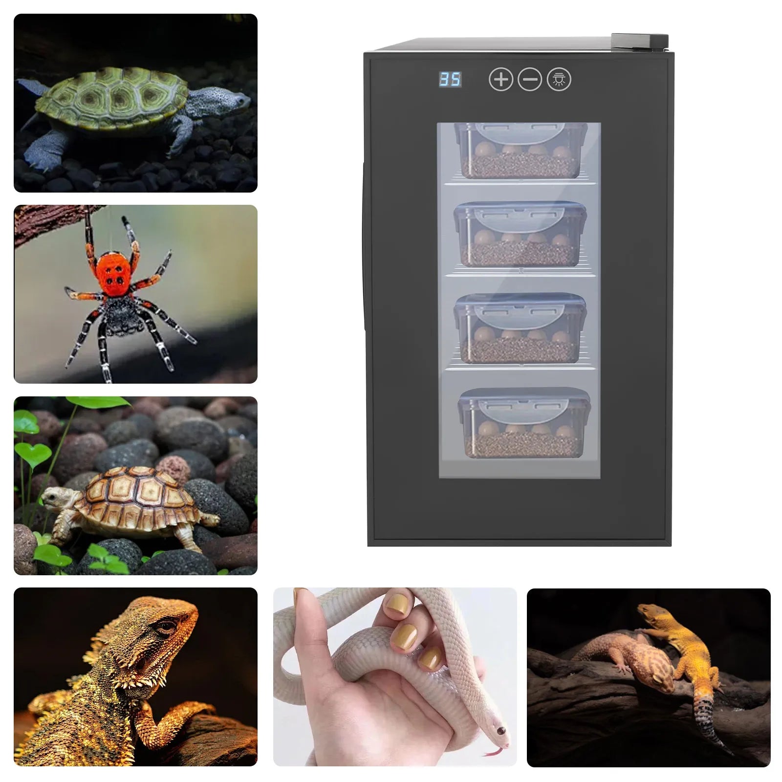 23L Reptile Incubator,Intelligent 23L Reptile Egg Incubator,Constant Temperature& Humidity Reptile Incubator,for Lizards/Turtles