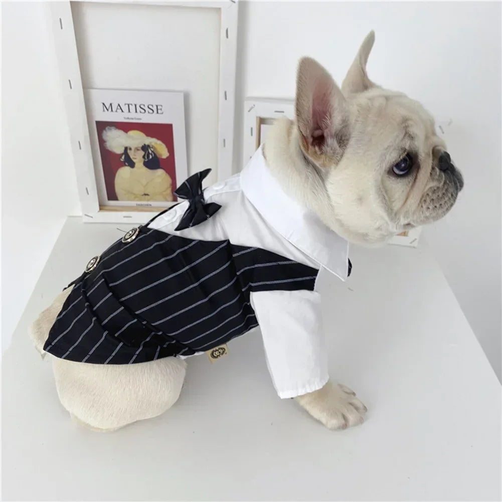 English Style Gentleman Dog Dress Puppy Suit with Tie for Formal Occasions Four Seasons Wedding Pet Photo Teddy Clothes