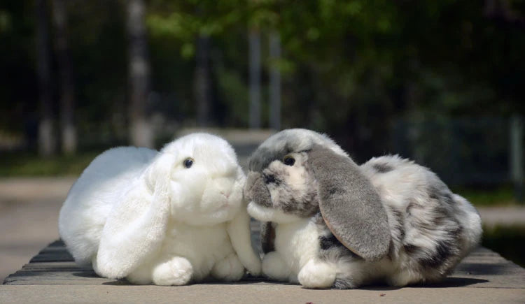 Realistic Lop Ear Rabbit Plush Toy, Lop Rabbit Plushie, Lifelike White Brown Bunny Stuffed Animal, Holland Lop Simulation Doll