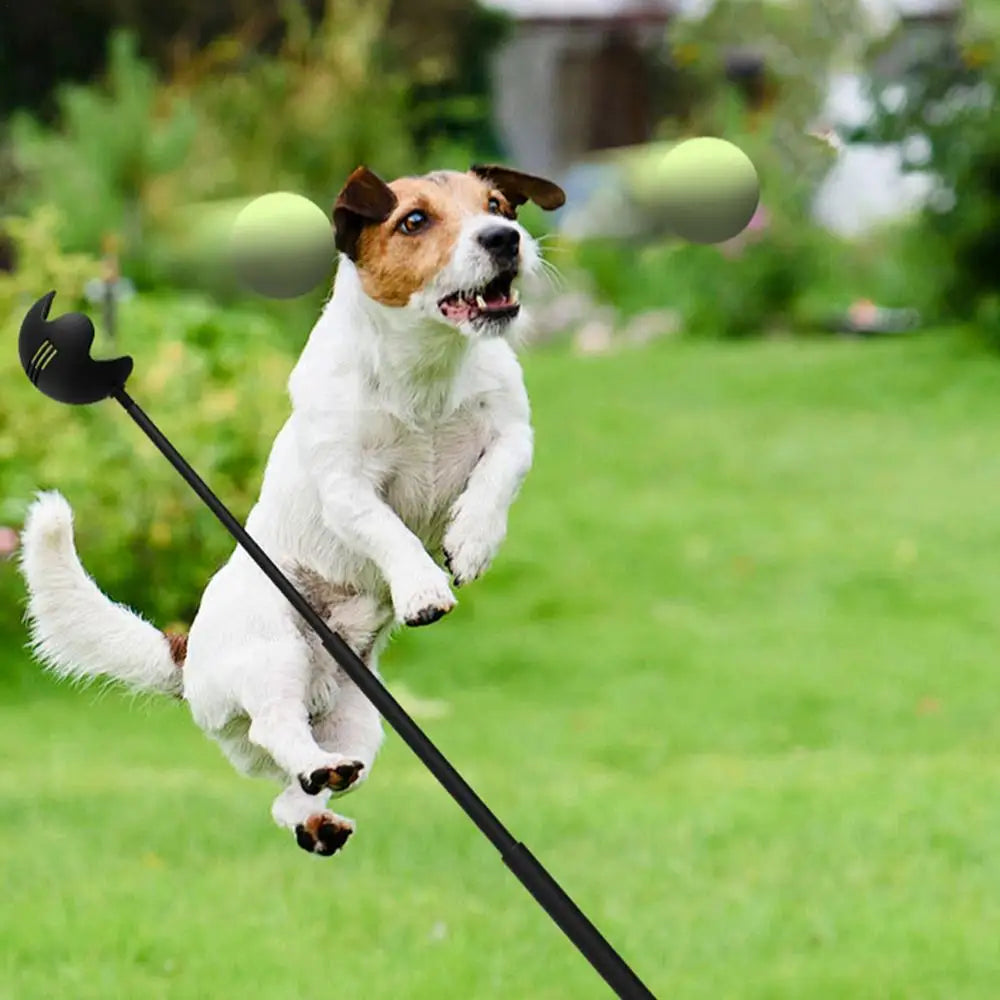 Retractable Dog Ball Launcher - 23.6" Carbon Fiber Throwing Pole