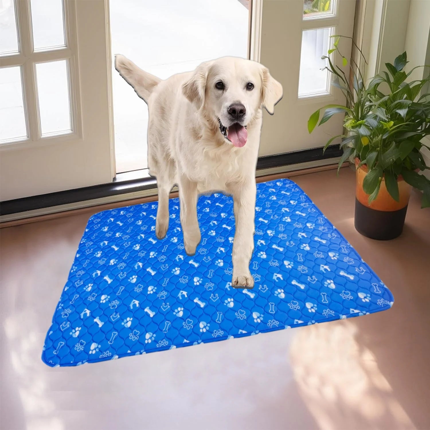 2pcs Large Pet Dog Pee Pads,Reusable Dogs Puppy Pads Pet Training Pads for Dogs, Absorbent and Leak-Proof Whelping Pads,Size:M