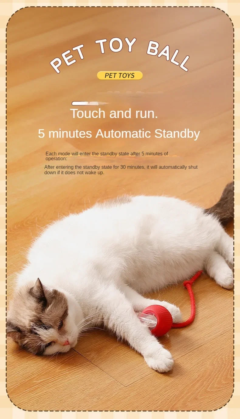 New Cat Interactive Ball Toy Automatic Rolling Ball Faux Tail Rechargeable Smart Pet Electric Toy Dog Cat Training Imitate Mouse