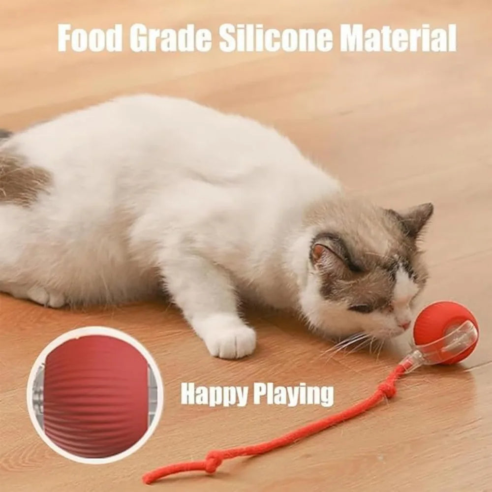 Pet Toy Ball with Tail Rope，Smart Automatic Pet Chase Ball Toy, Upgraded Speedy Tail Kitten Toy for Bored Indoor Adult Pets