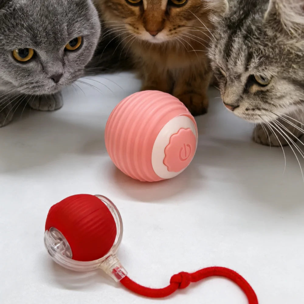 Pet Toy Ball with Tail Rope，Smart Automatic Pet Chase Ball Toy, Upgraded Speedy Tail Kitten Toy for Bored Indoor Adult Pets