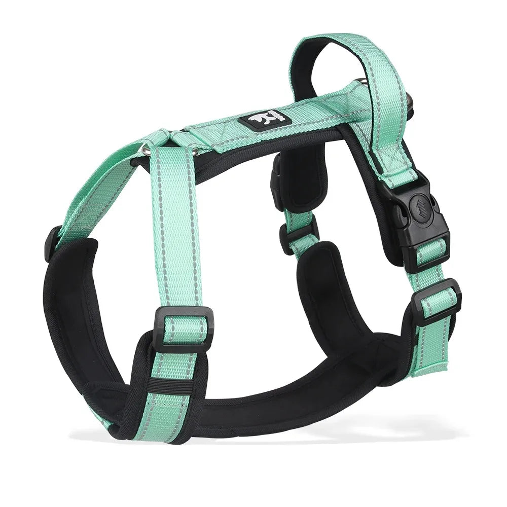 BeiYu Pet Harness With Leash Vest For Dogs
