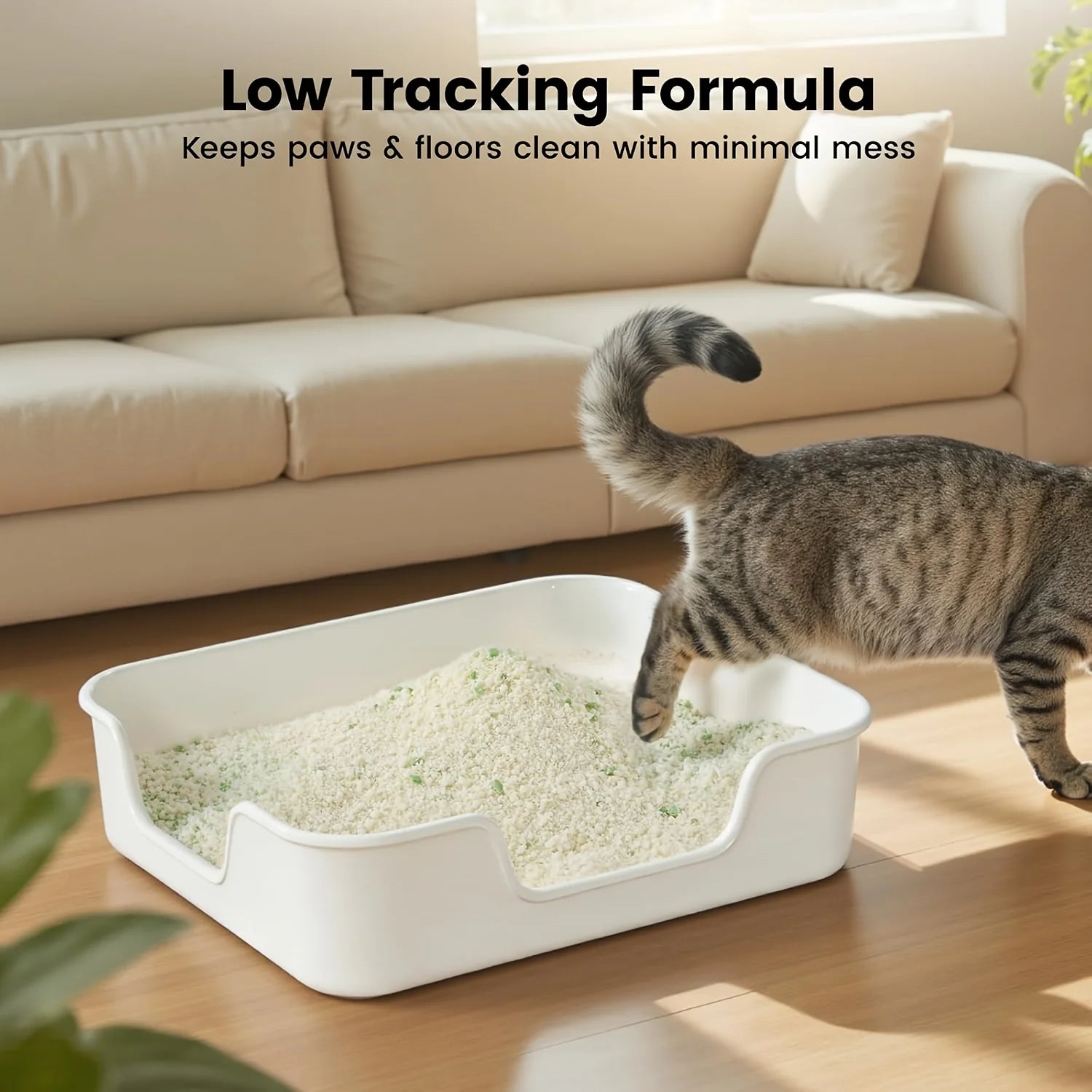 1 Nomipaw Cassava Cat Litter | Clumping, Odor Control, Ultra Absorbent and Fast Drying, Plant-Based Natural, Low Tracking, Unsce