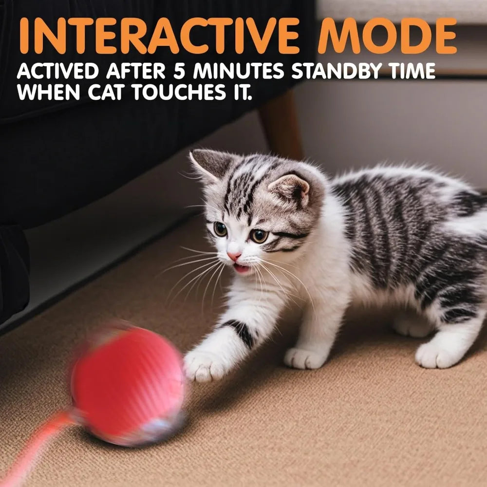 Pet Toy Ball with Tail Rope，Smart Automatic Pet Chase Ball Toy, Upgraded Speedy Tail Kitten Toy for Bored Indoor Adult Pets