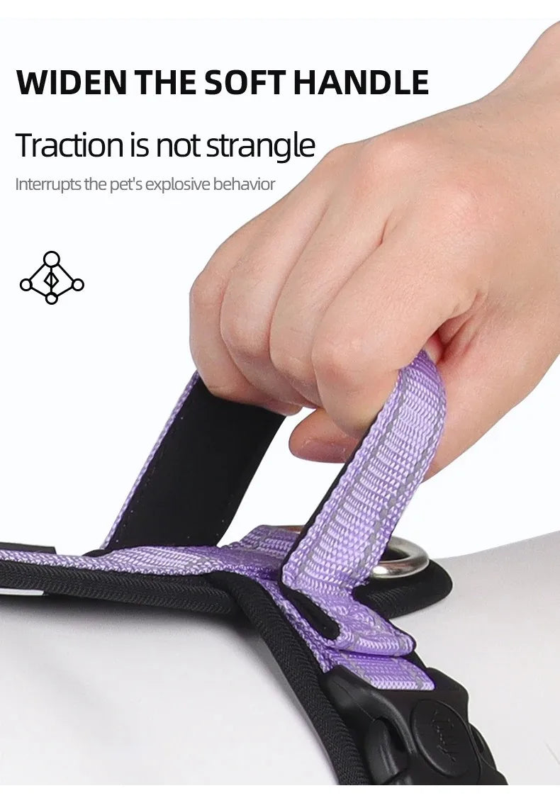 BeiYu Pet Harness With Leash Vest For Dogs