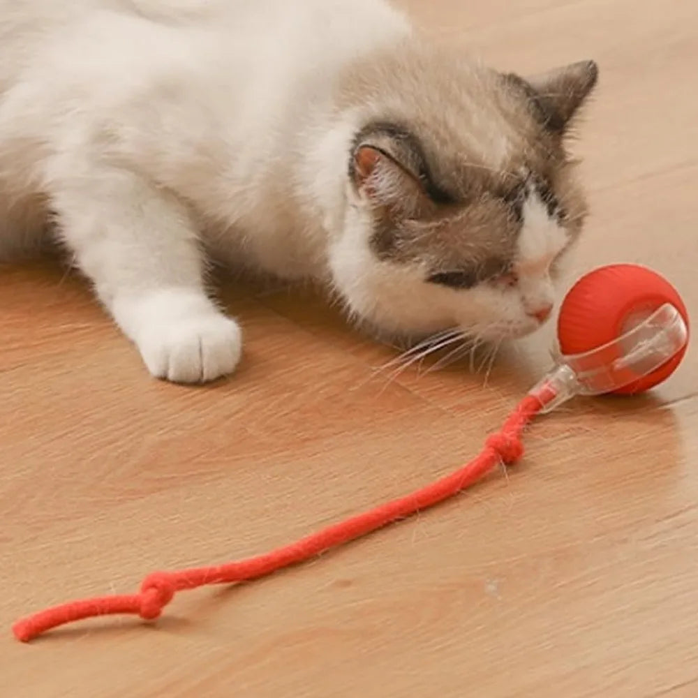 Pet Toy Ball with Tail Rope，Smart Automatic Pet Chase Ball Toy, Upgraded Speedy Tail Kitten Toy for Bored Indoor Adult Pets
