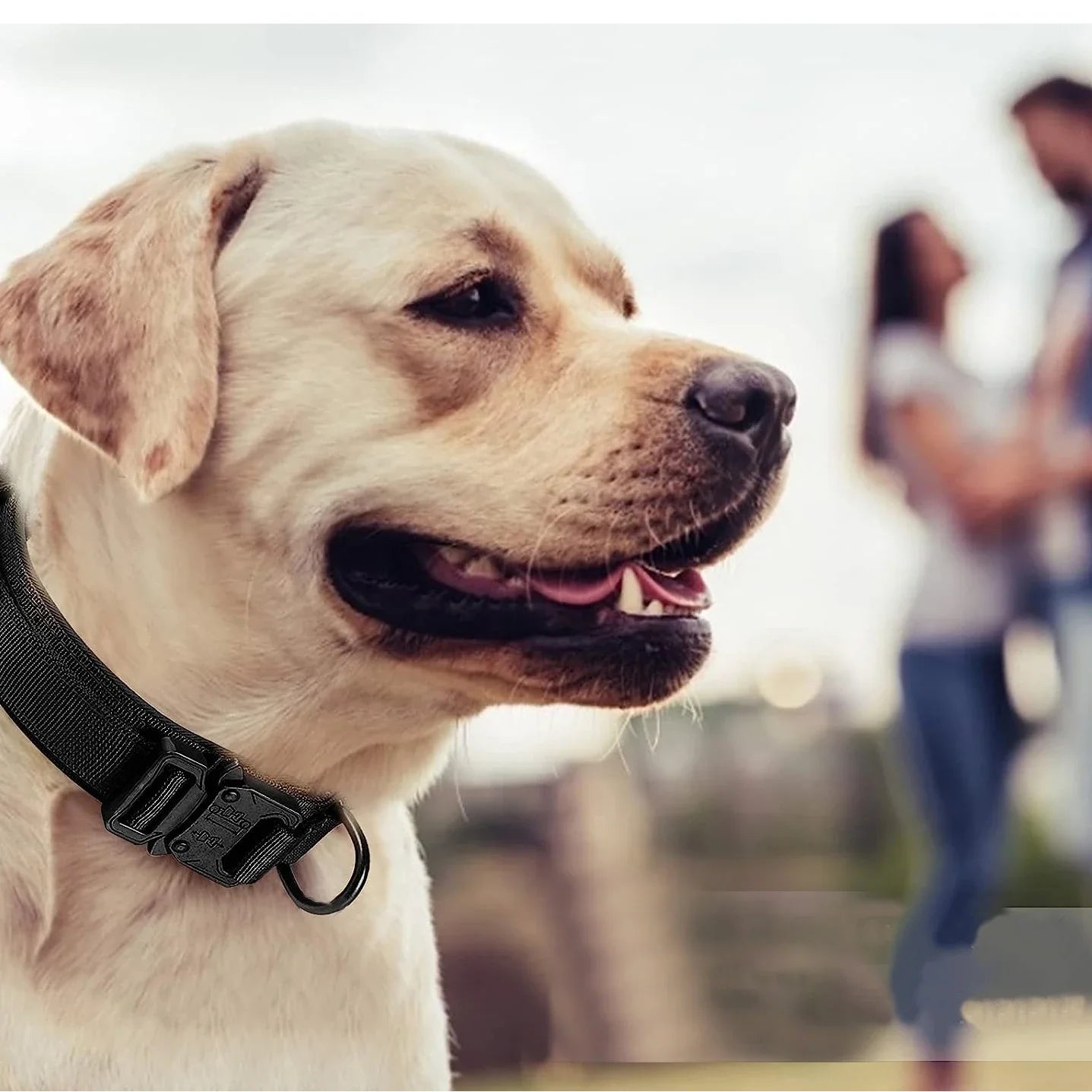 Tactical Military Dog Collar with Control Handle