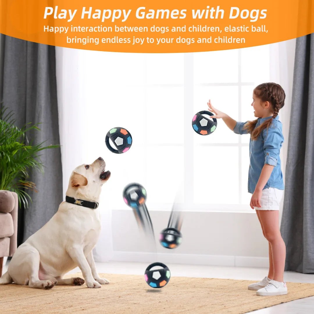 Premium Ultradurable Football Tennis Ball Shaped Dog Toys
