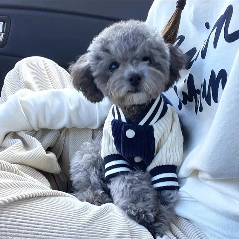 Cute Embroidered Pet Baseball Jackets Dog Clothes For Small Medium Cat Teddy Coat Puppy Spring Clothes Warm Fashion Pet Outfit