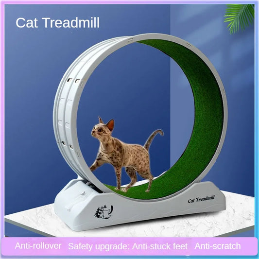 Silent Roller Cat Running Wheel - Plastic Exercise Treadmill