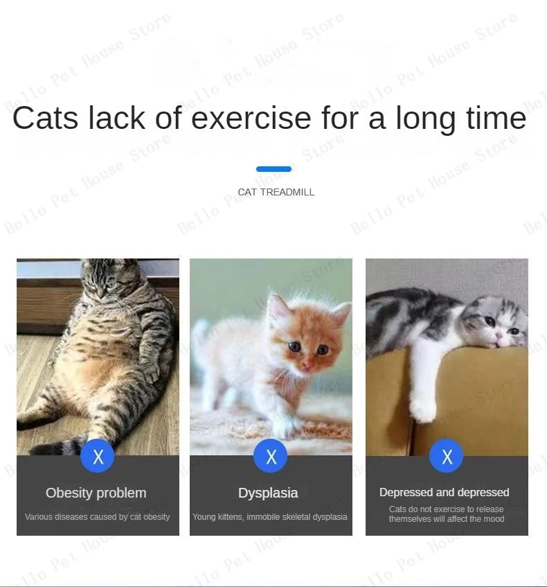 Silent Roller Cat Treadmill Pet Furniture Anti-stuck Feet Fitness Cat Running Wheel Plastic Pet Cat Treadmill