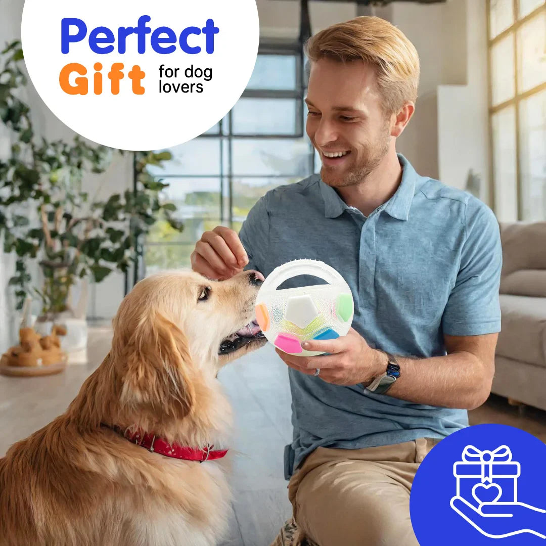 Premium Ultradurable Football Tennis Ball Shaped Dog Toys