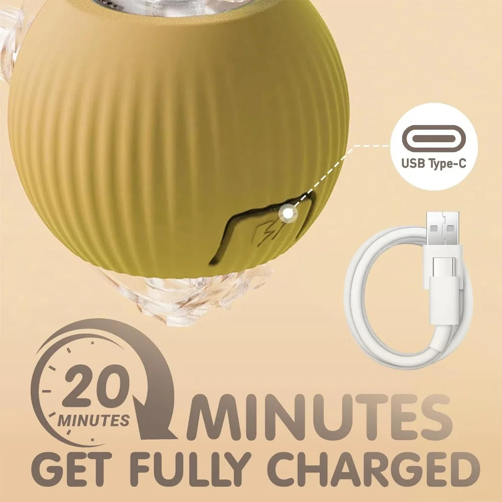 Pet Toy Ball with Tail Rope，Smart Automatic Pet Chase Ball Toy, Upgraded Speedy Tail Kitten Toy for Bored Indoor Adult Pets