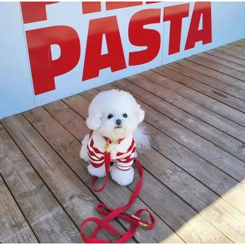 Striped Dog Shirt for Small Dogs Breathable Cotton Pet T-Shirt for Teddy Bichon Schnauzer Spring Summer Autumn Puppy Clothes