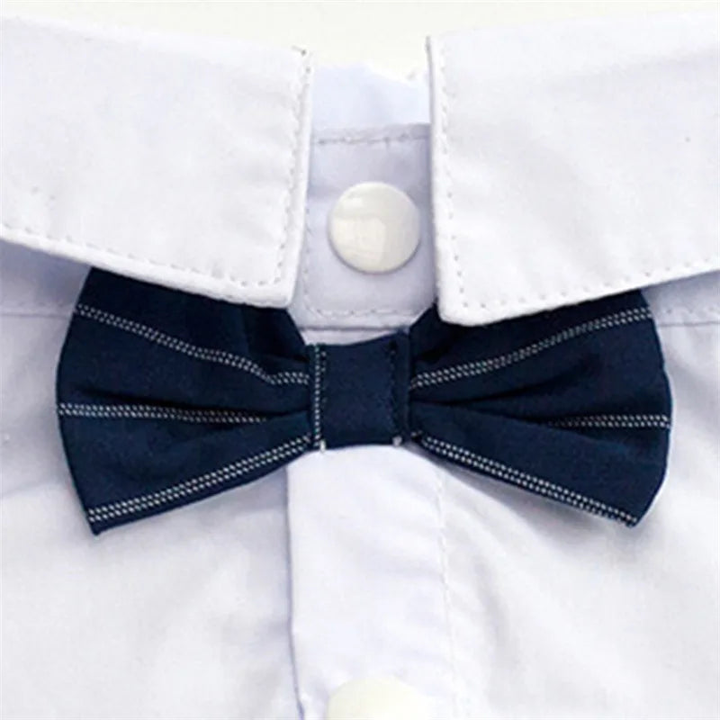English Style Gentleman Dog Dress Puppy Suit with Tie for Formal Occasions Four Seasons Wedding Pet Photo Teddy Clothes