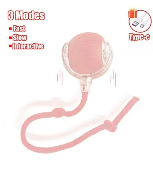 Interactive Cat Toy Ball – Super Drive Rolling Toy