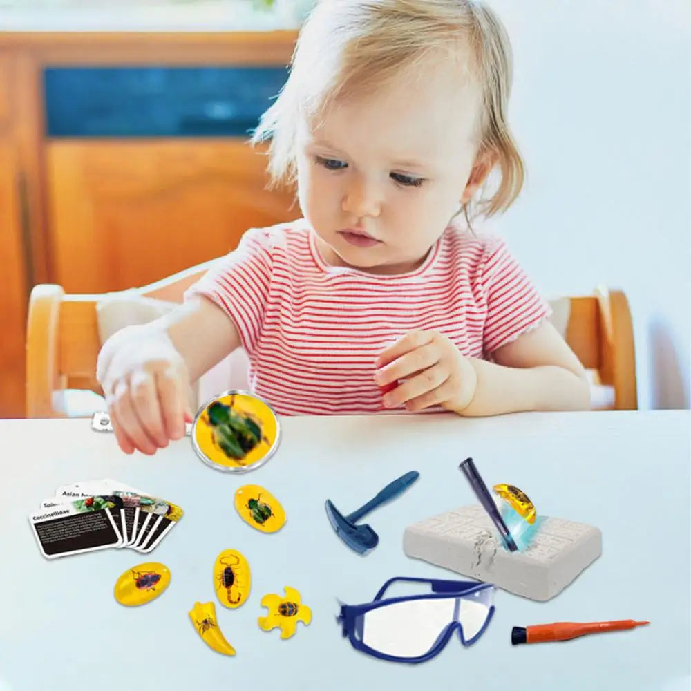 Excavate Fly Toys Kit Amber Excavation Toys Fly Model Interactive STEM Toy Science Kits Educational Toys Dig Set Animal