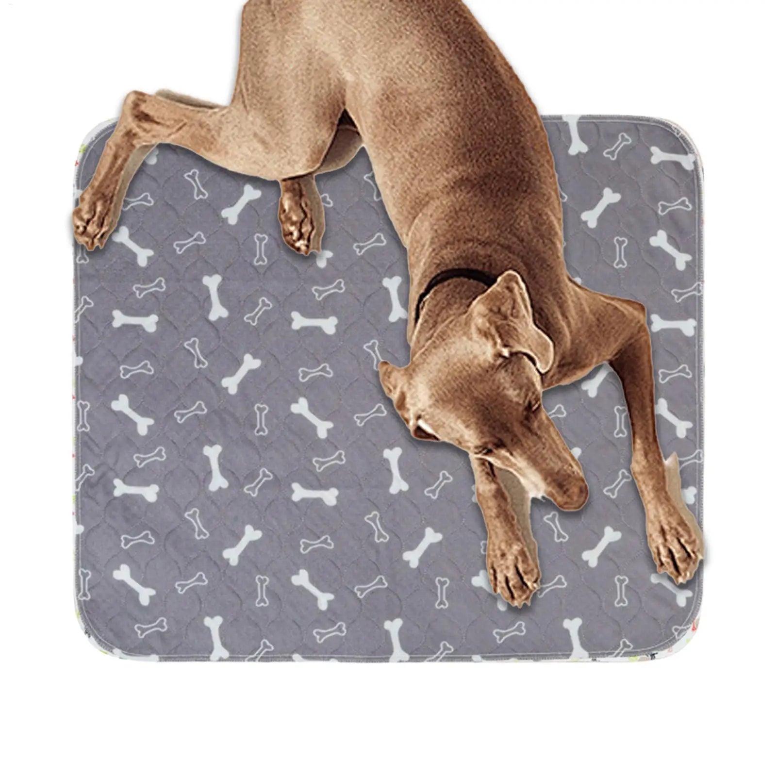 Dog Pee Pads Fast Absorbent Training Mat Leak-Proof Pet Training Pads for Dogs Indoor for Cats Potty Training Home Travel