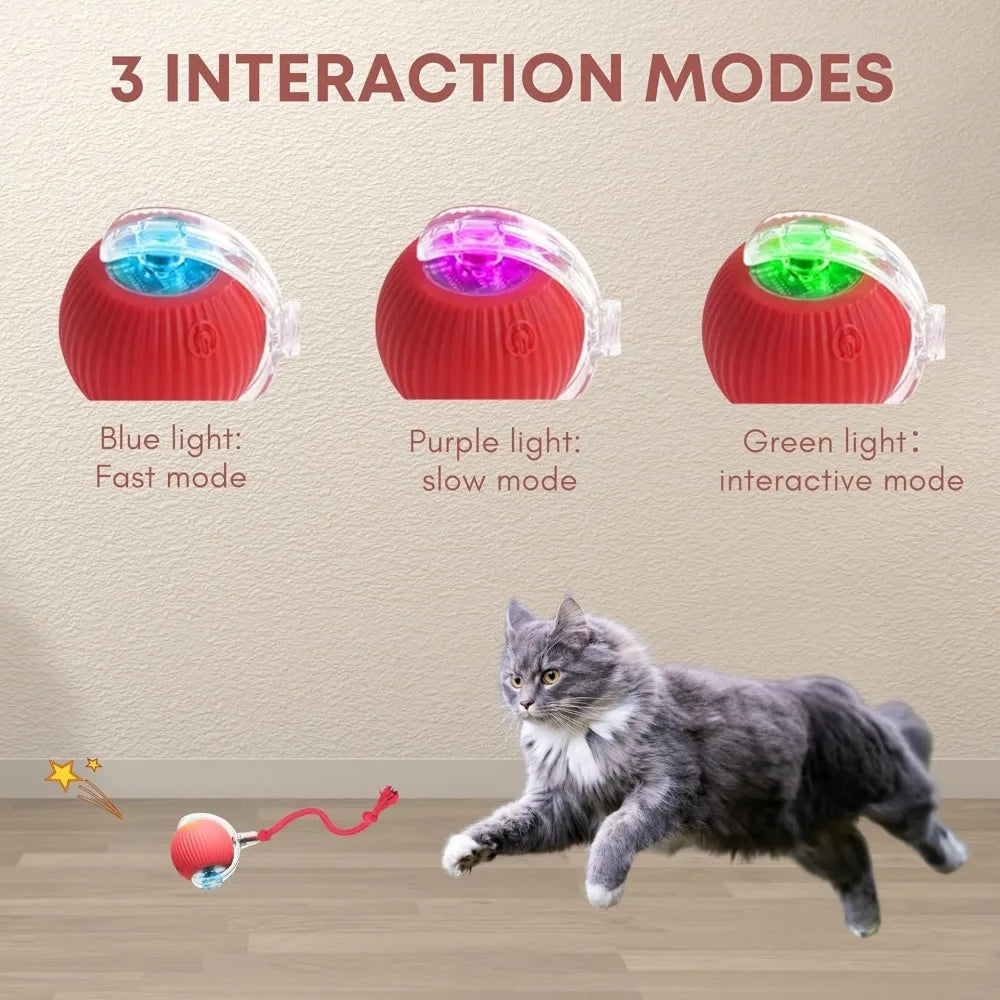 Pet Toy Ball with Tail Rope，Smart Automatic Pet Chase Ball Toy, Upgraded Speedy Tail Kitten Toy for Bored Indoor Adult Pets