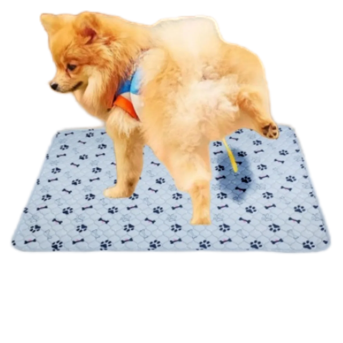 2pcs Large Pet Dog Pee Pads,Reusable Dogs Puppy Pads Pet Training Pads for Dogs, Absorbent and Leak-Proof Whelping Pads,Size:M