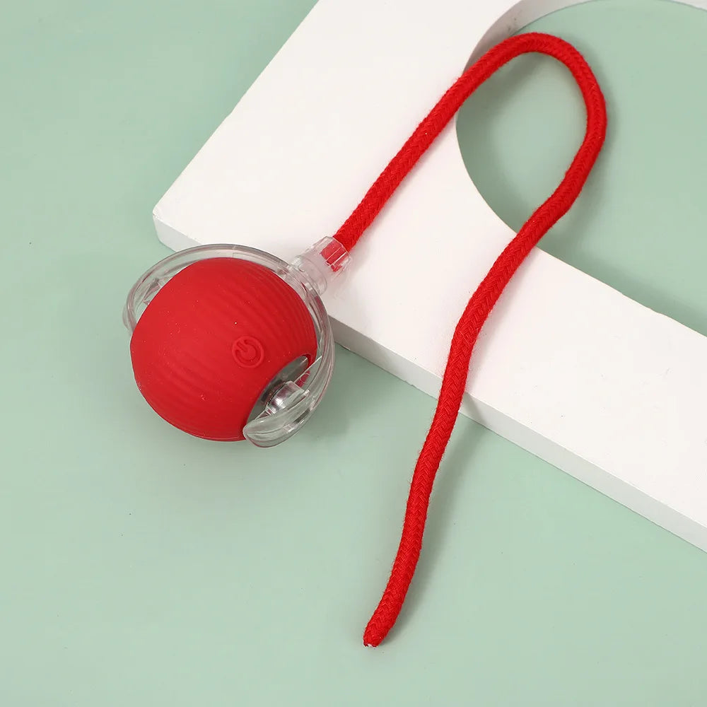Interactive Cat Toy Ball – Super Drive Rolling Toy