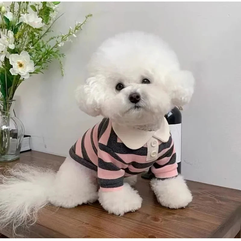 Striped Dog Shirt for Small Dogs Breathable Cotton Pet T-Shirt for Teddy Bichon Schnauzer Spring Summer Autumn Puppy Clothes