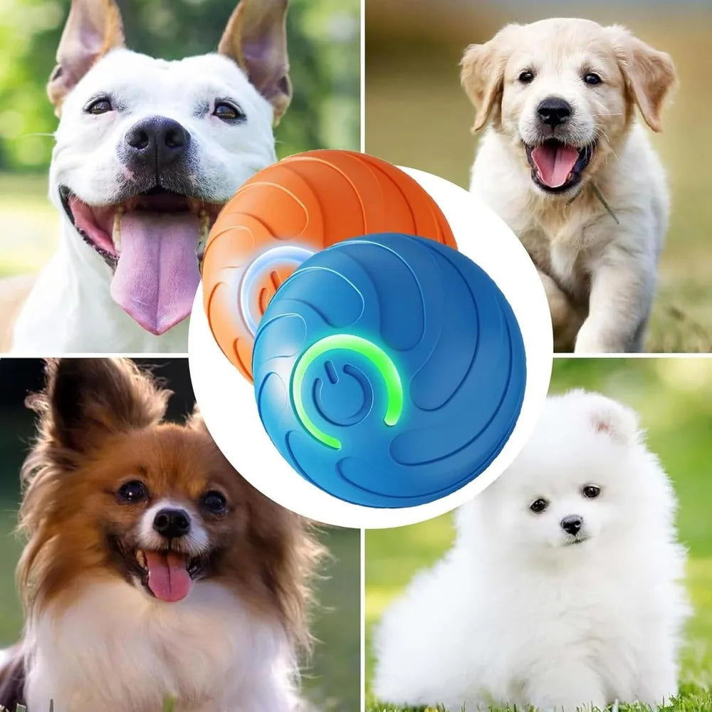 Pet Toy Ball with Tail Rope，Smart Automatic Pet Chase Ball Toy, Upgraded Speedy Tail Kitten Toy for Bored Indoor Adult Pets