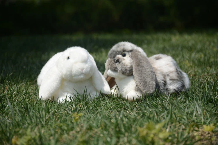 Realistic Lop Ear Rabbit Plush Toy, Lop Rabbit Plushie, Lifelike White Brown Bunny Stuffed Animal, Holland Lop Simulation Doll